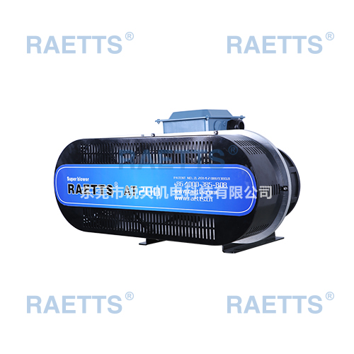 RAETTS200ĸķ