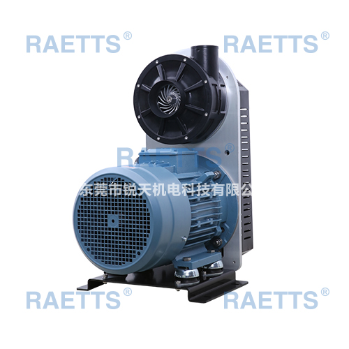 RAETTS100ĸٹķ