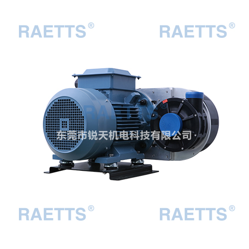RAETTS300ĸٹķ