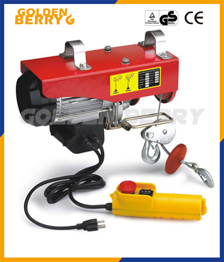 goldenberry PA200 ΢͵綯«100kg-1000kg