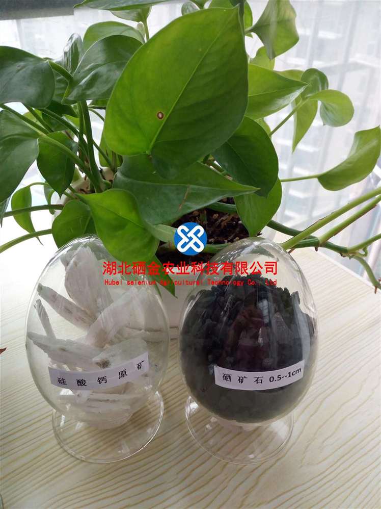 ϹӦСøϵ ʯɷֹ/SiO2  61.3 ؽ/Cd5ppm