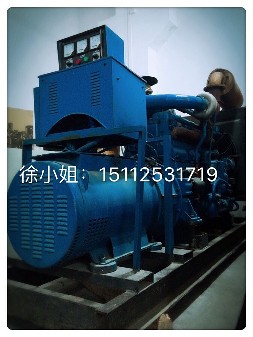 Ϻ300KWֲͷ