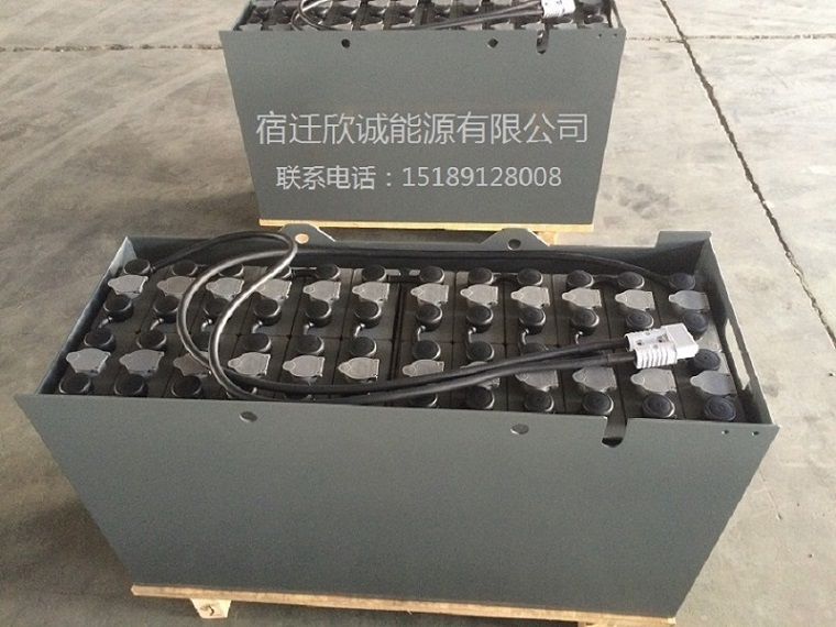 NICHIYU綯泵-48V 300AHǦ