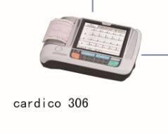 ձǫĵͼCardico 306