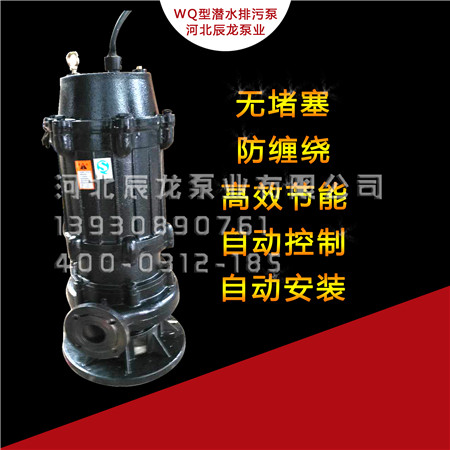 立式污水泵型号图片WQ80-43-13-3 排污泵维修