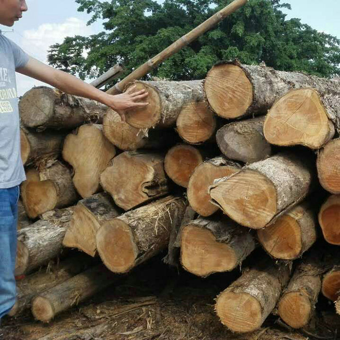 ľԭľľľ