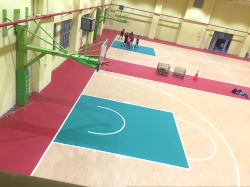 室内篮球场pvc地胶 木纹卷材运动地胶生产厂家