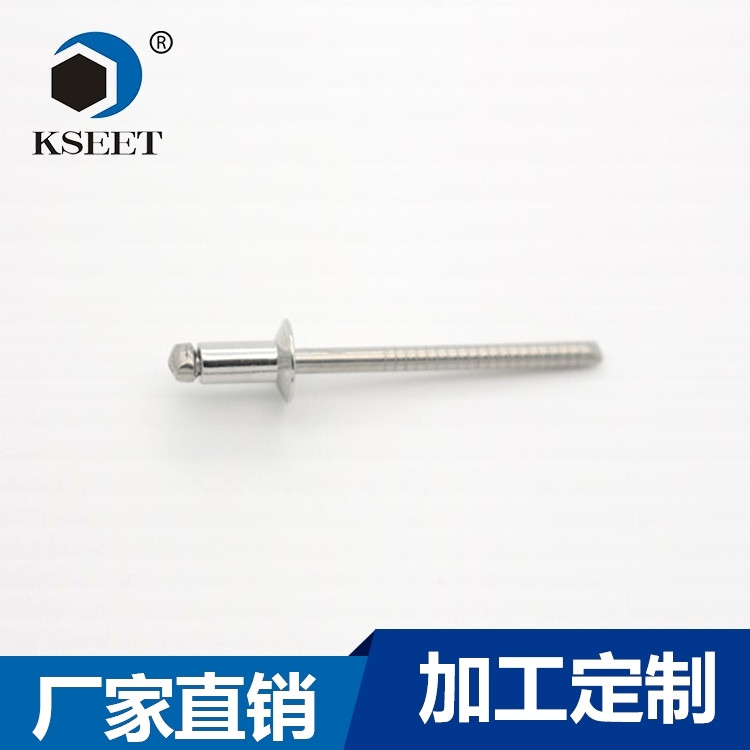 㶫ӦӽרSKK3025PT˫ͷоí