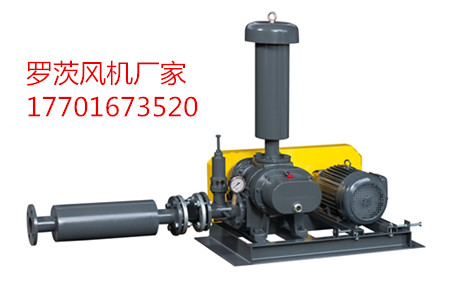 供应三叶罗茨风机 RSS-80 电镀槽液体搅拌闪电式发货