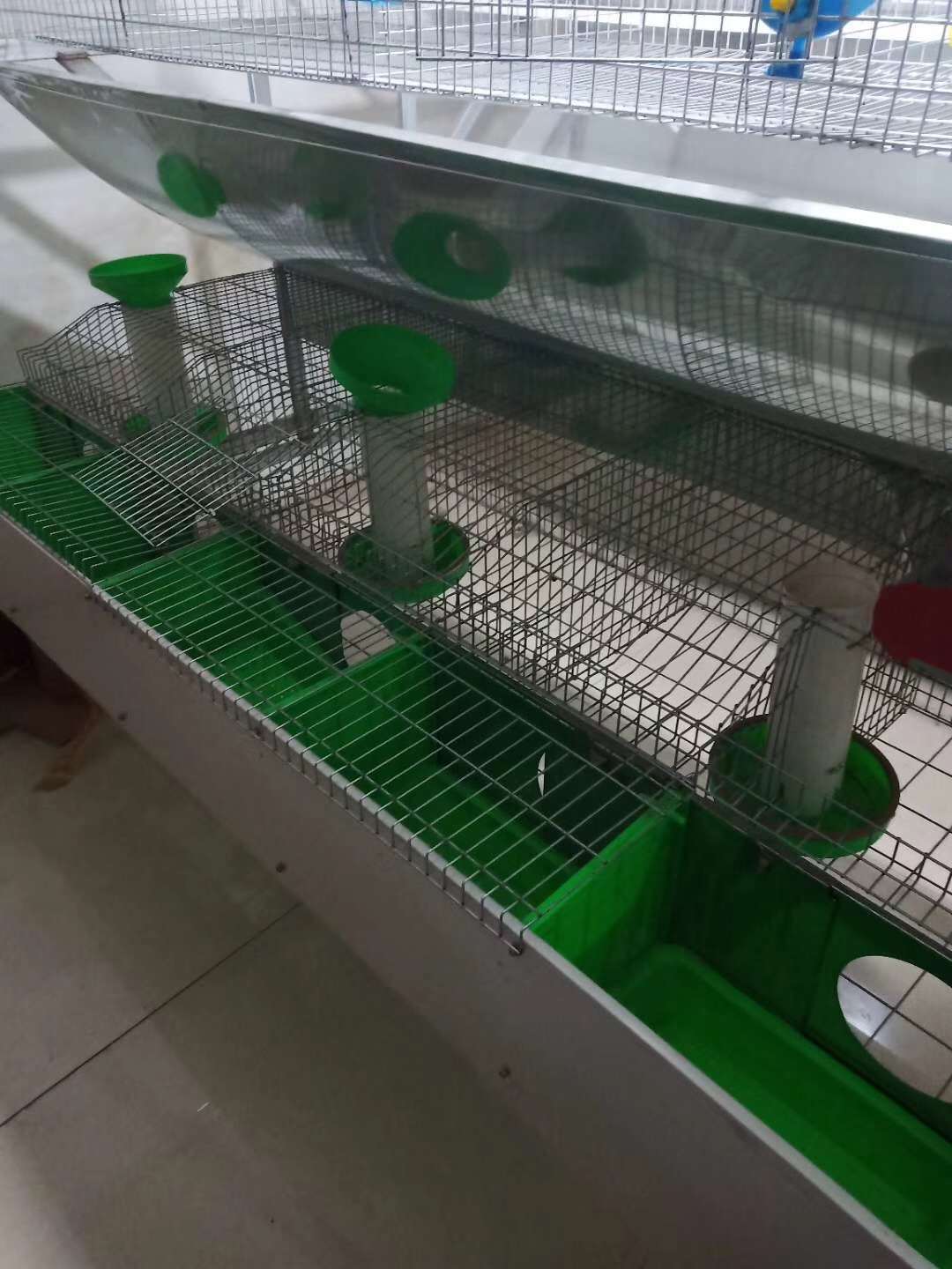ŷʽֱ