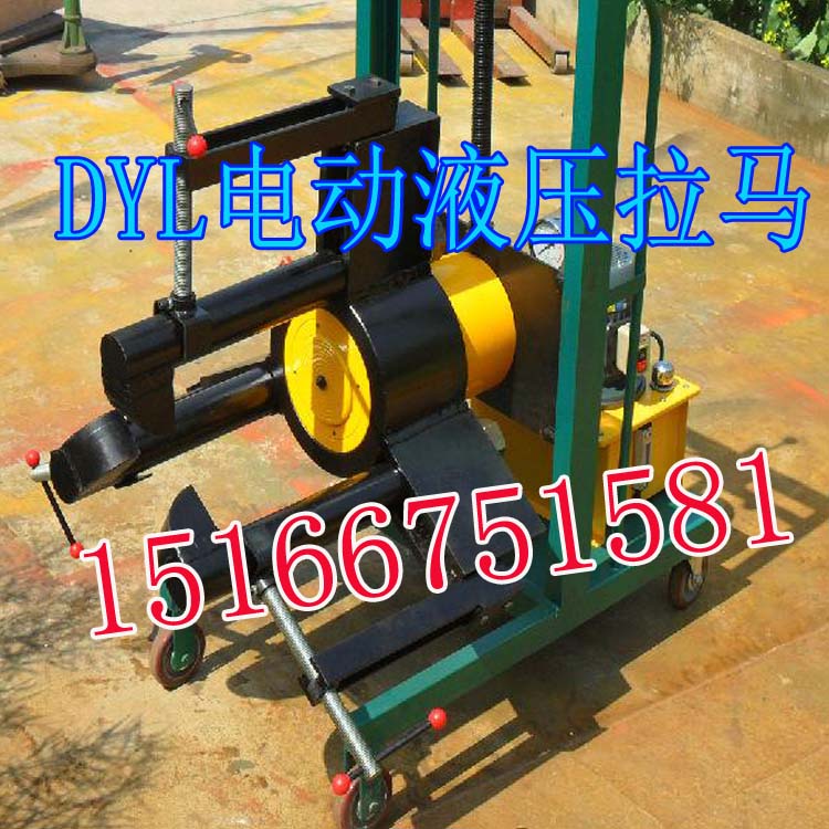 DYL-50Сʽ 綯˵