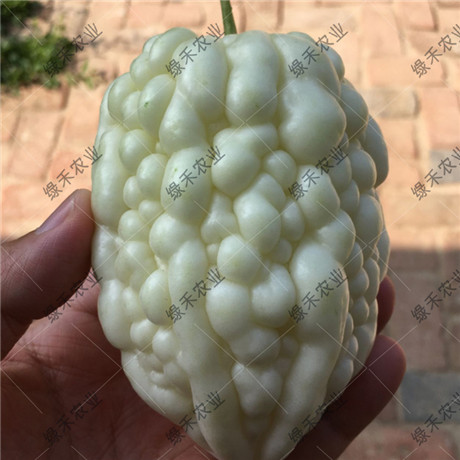 ̨ƻ ˮ׿