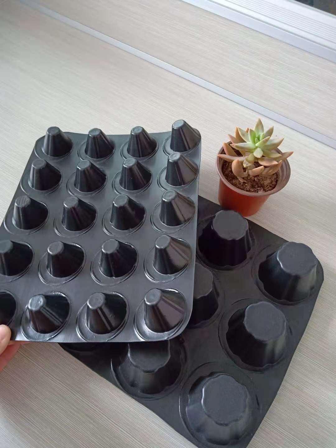 רˮAרˮAרˮ峧