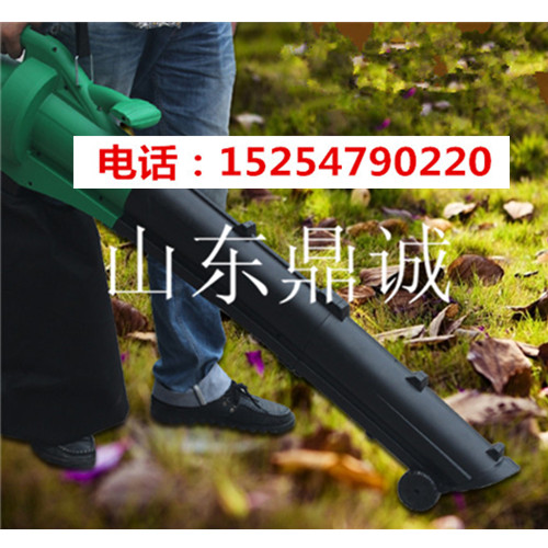 Яʹ԰Ҷ綯ؼ