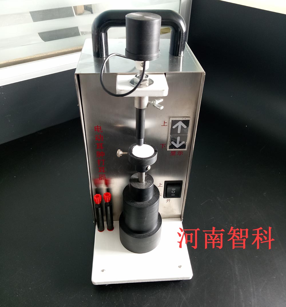 ǿ 綯״ 