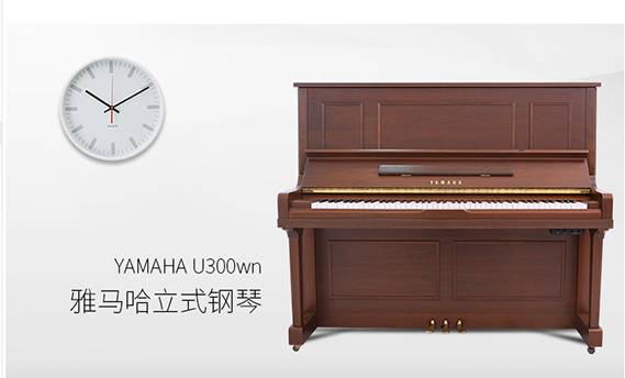 ձйŸYAMAHA/ U300WN  