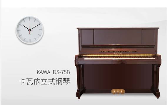 ձйŸKAWAI DS-75B  