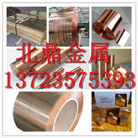 CAC201ձͭϽ ֻͭ
