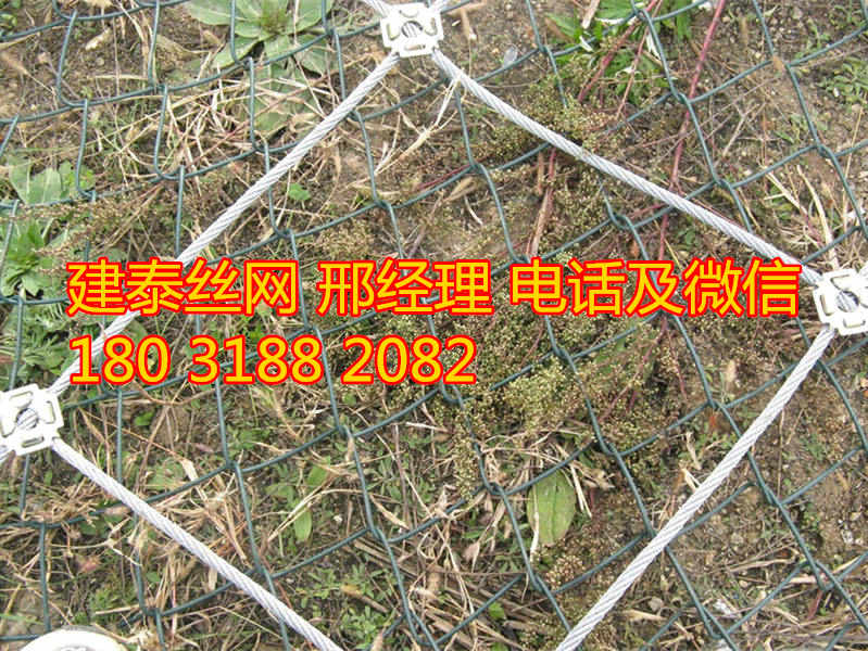 sns柔性主动防护网价格