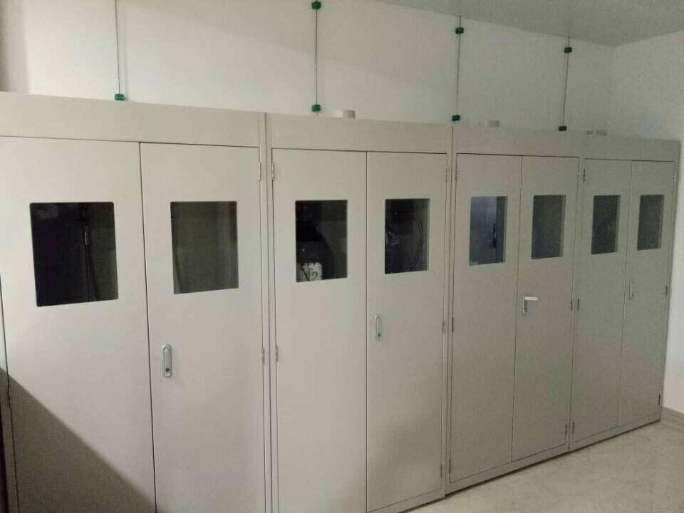 实验室专用功能柜 气瓶柜
