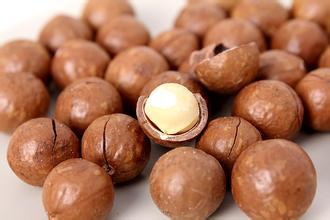 ڻĹ̼칫˾