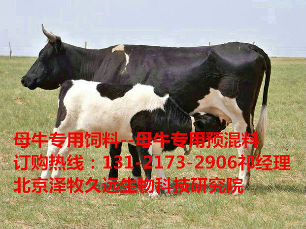 ĸţǰĻ-ĸţע