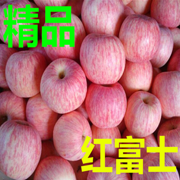 츻ʿƻͼ