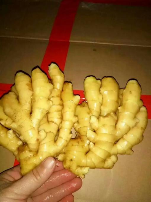 ɽС¼۸