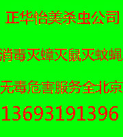 ɱ湫˾湫˾˾빫˾Ӭ˾