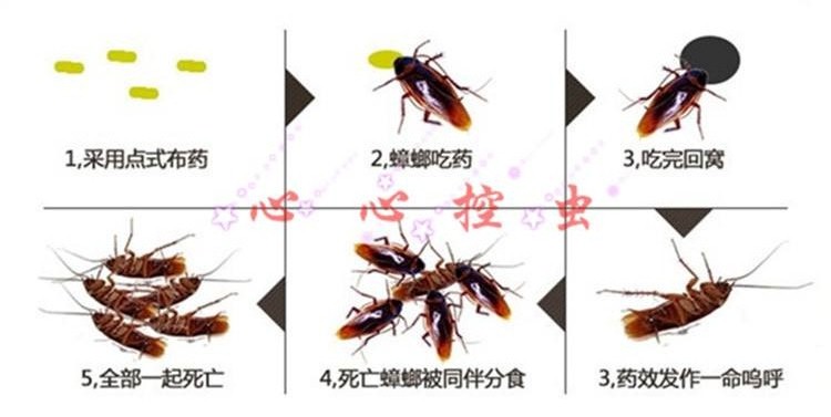 롢ɱ롢桢