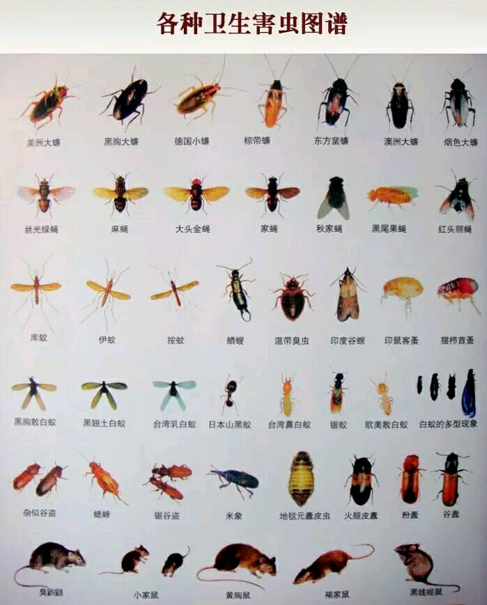 ɱ湫˾湫˾ҩƷͶ޺13693191396