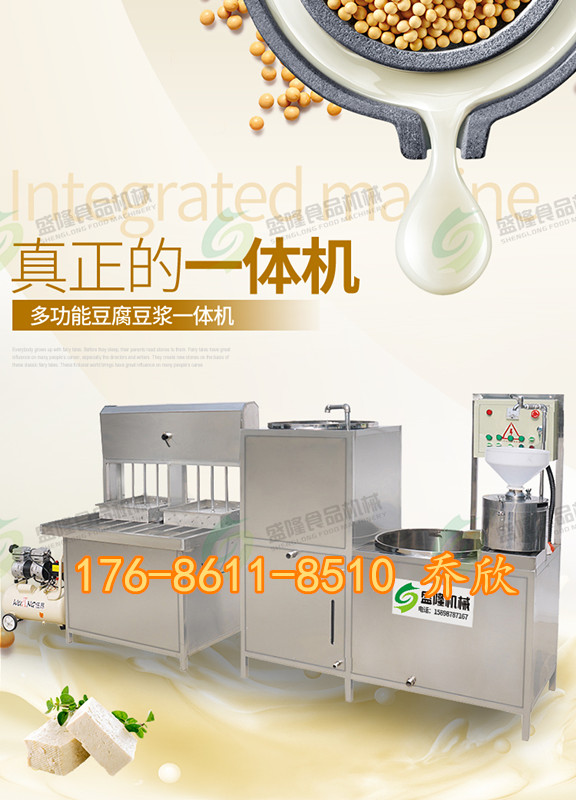 山东潍坊盛隆小型多功能一人工作豆腐机子设备经销