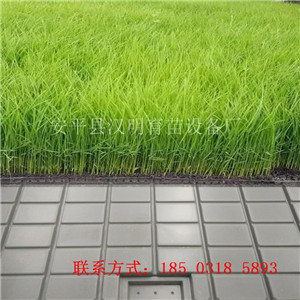 ṩõĳϫ紲ϫĹ