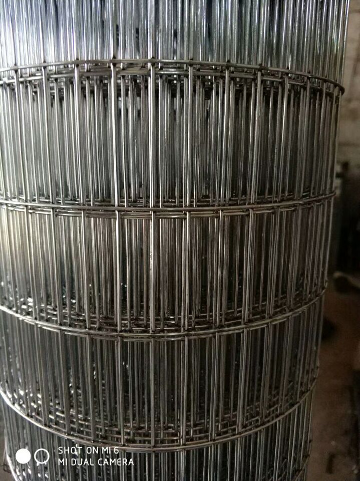 纸 п纸 304纸 纸