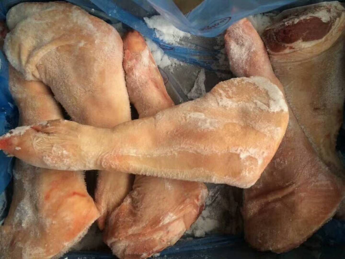 Ӧ  Ͷ  ˿ Ƭ
