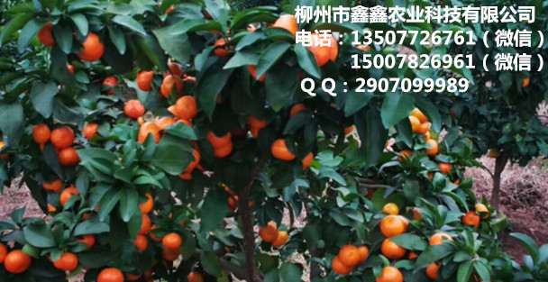 ѪǮһã