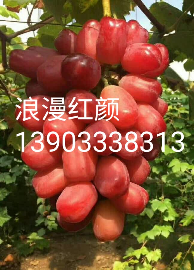  ۸