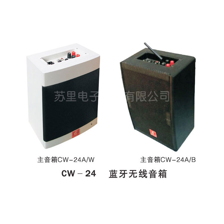  䣨CW-24