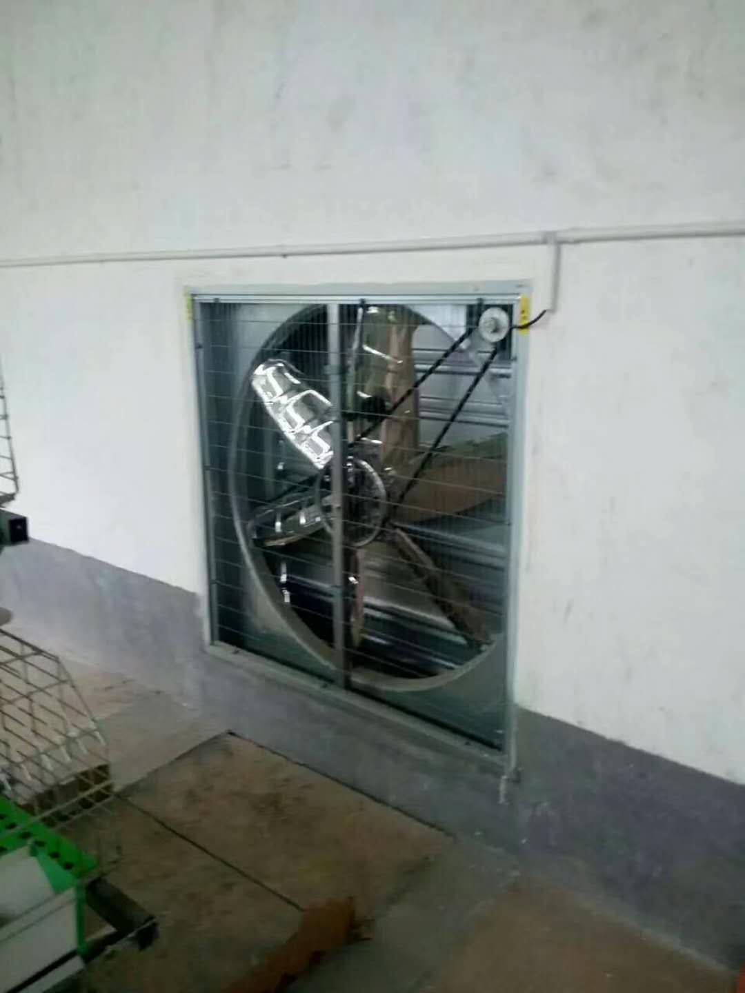 ʪֱ