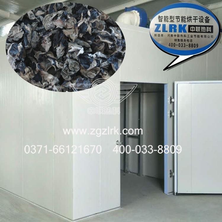中联热科全自动智能槟榔烘干机设备生产线新能源技术