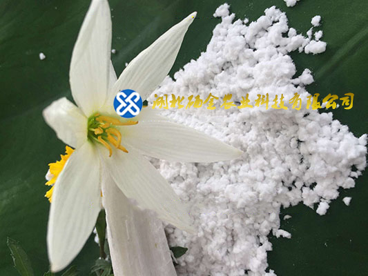 ӦȫˮܹƷ ĩ SIO249.8 