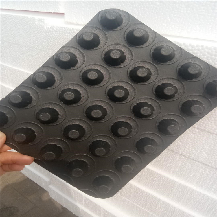 水库防渗水用塑料排水板A方城水库防渗水用塑料排水板生产商