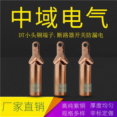 DT小头铜鼻子 窄边线鼻子 DTX-70平方10只装国标A级
