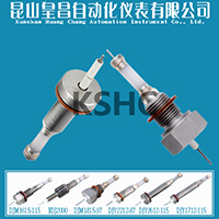 ˮλƵ缫DJY1812-87ʲDJY1812-97ѹʽ缫DJY1812-115