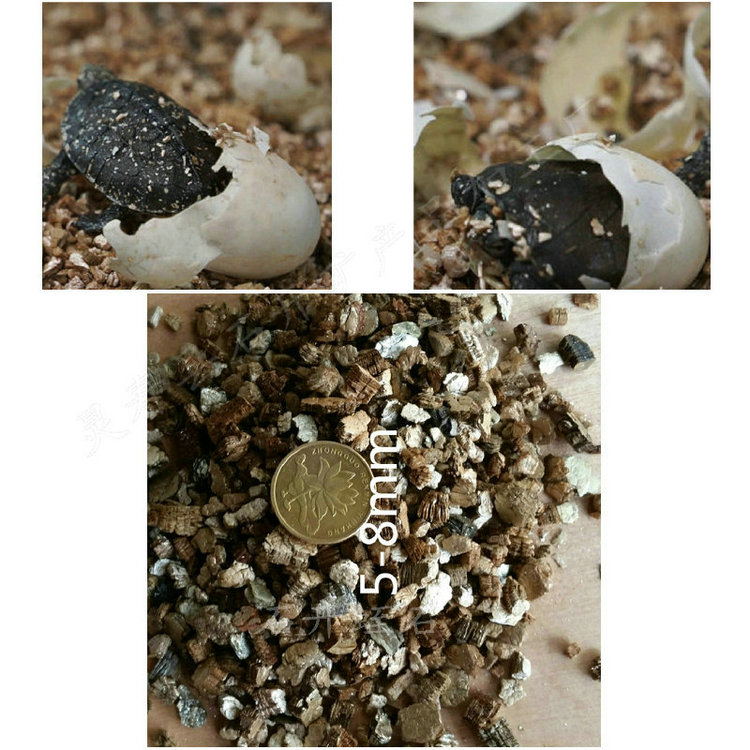 군ʯ3-6MM