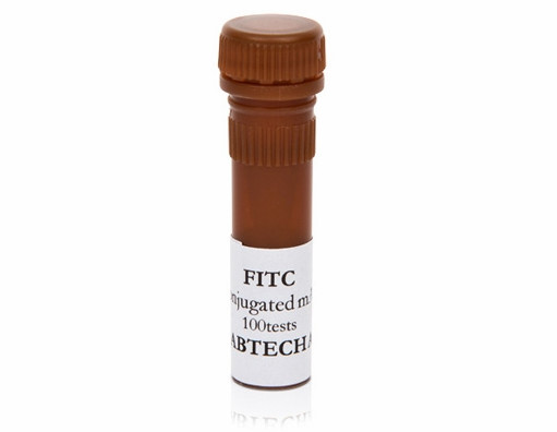 ˸yFITC