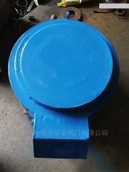 隔膜式508真空压力释放阀详细信息