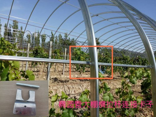 Բô@Բô@Բô