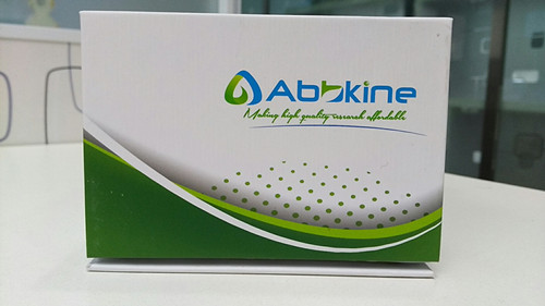 Լ۱TraKine Pro ϸϸȾɫԼ