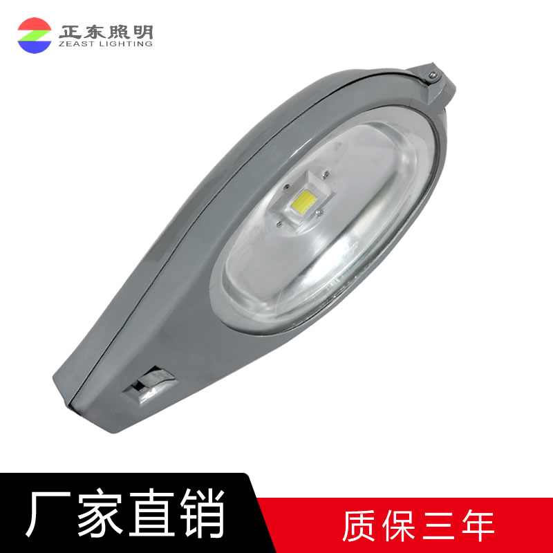 LED·Ƶͷ30W50W